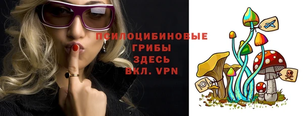 apvp Алзамай