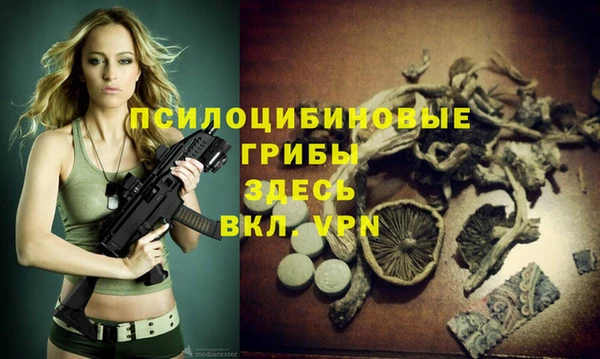 круглые Алексин