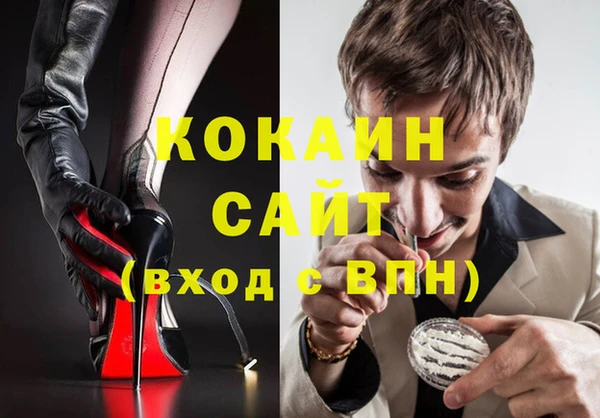 apvp Алзамай
