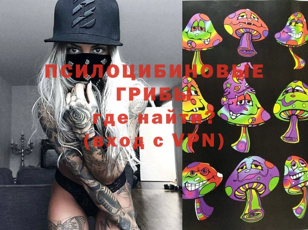 apvp Алзамай