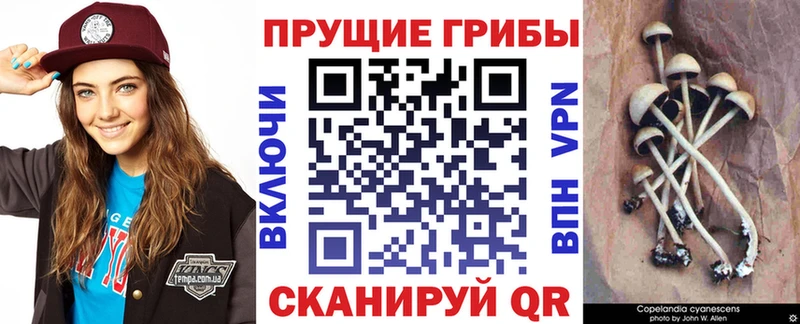 Псилоцибиновые грибы мухоморы Коряжма